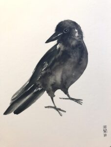 Black crow watercolour