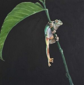 Jungle frog, Oil