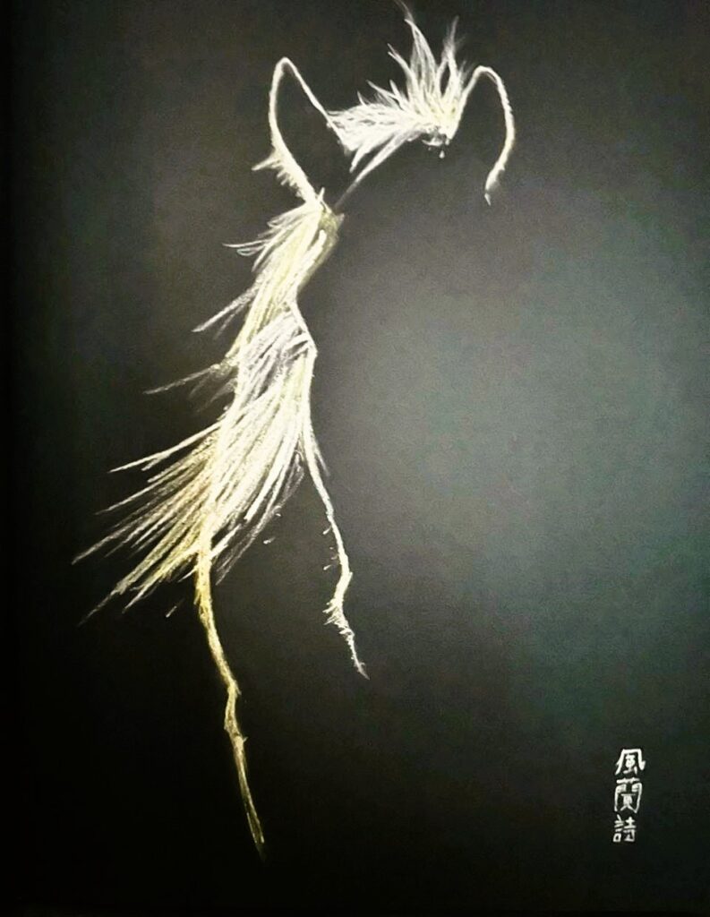 Horse drawing, pastel on black