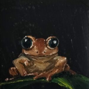 Miniature frog, Oil