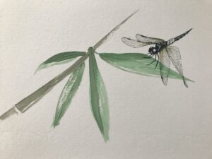 Dragonfly watercolour and ink sketch