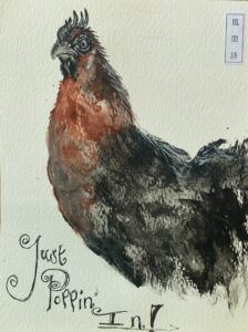 Chicken, Ink & Watercolour