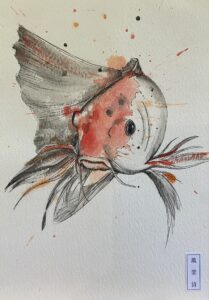 Koi, Ink & Watercolour