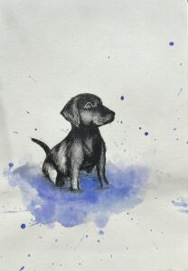 ink and watercolour labradore puppy