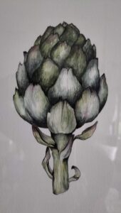 Artichoke Collection 1