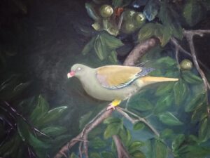 green pigeon Oil